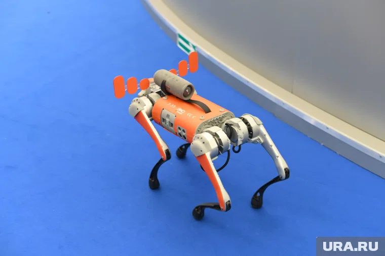 Электронные питомцы скрасили технологические будни участников форума