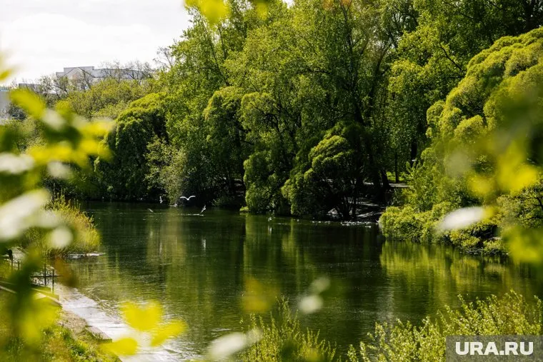 Аномальная жара продлится до конца следующей недели