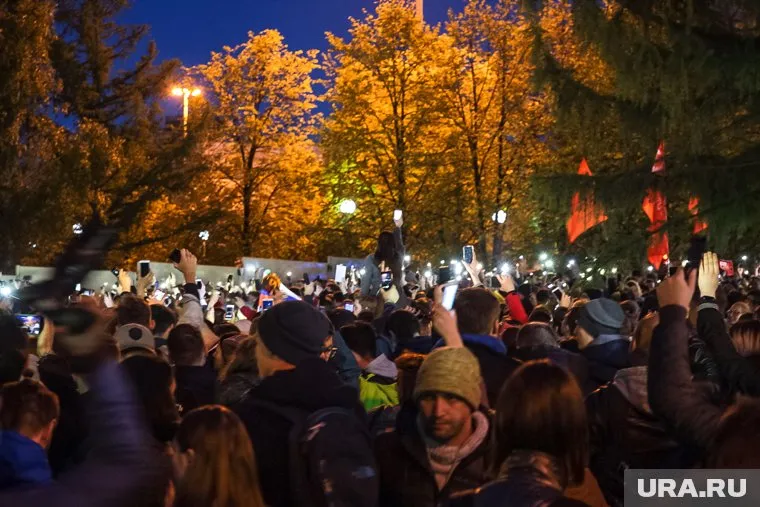 Молодой человек якобы залез на дерево и обматерил полицейского