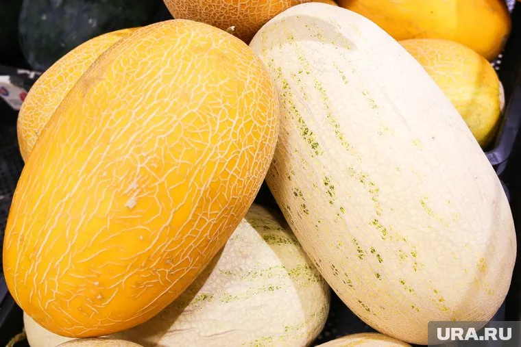 Медовую дыню можно встретить на полках тюменских магазинов