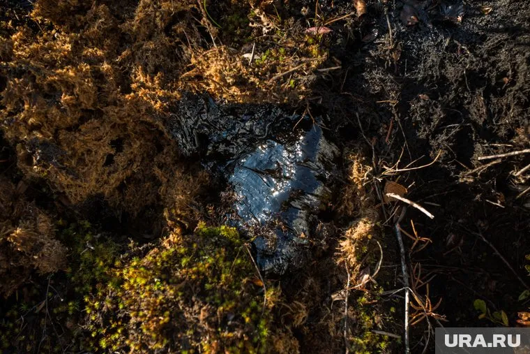 Специалисты говорят, что угрозы водоемам нет, ведется очистка территории (архивное фото)