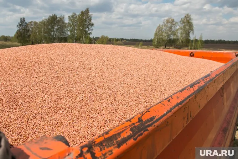 Националисты сожгли более 50 тысяч тонн зерна при отступлении в Мариуполе