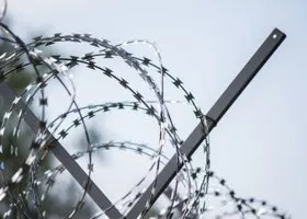 Голодающие своего добились