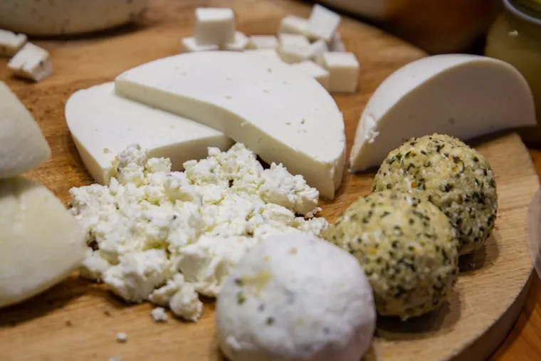 Международная выставка «Агропром Урал». Екатеринбург