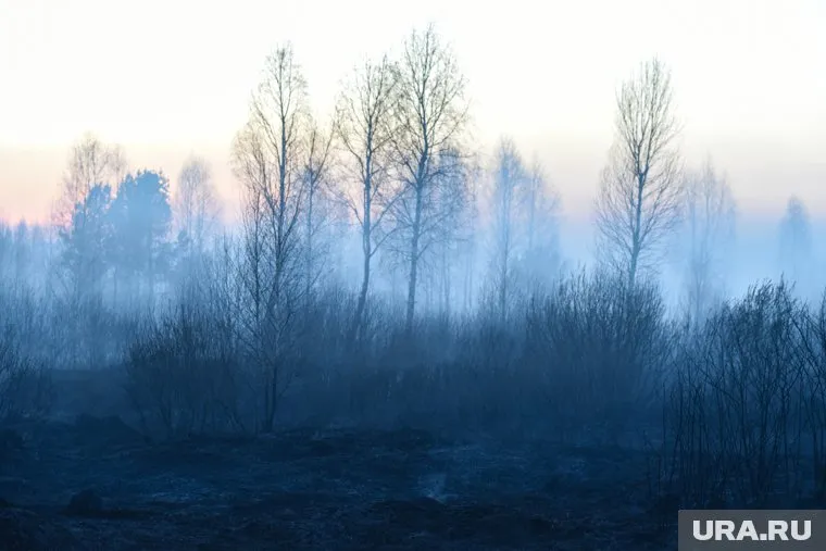 Ограничение касается только майских праздников