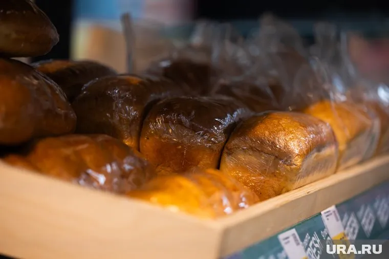 Жительница Надыма обнаружила плесень под упаковкой хлеба