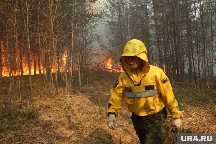 С 10 мая в Тюменской области из-за пожаров действует режим ЧС