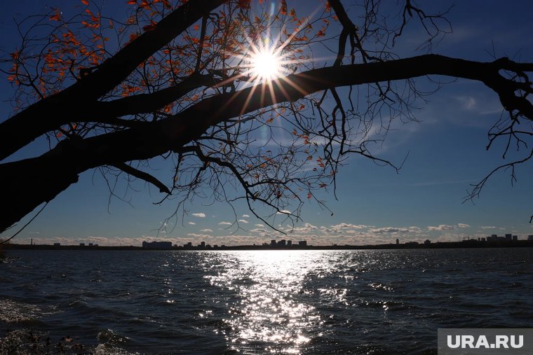 Чего ждать землянам: какой силы будет магнитная буря 16 ноября 2025