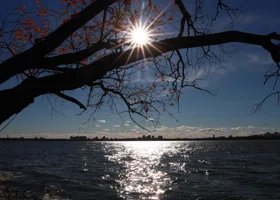 Чего ждать землянам: какой силы будет магнитная буря 16 ноября 2025