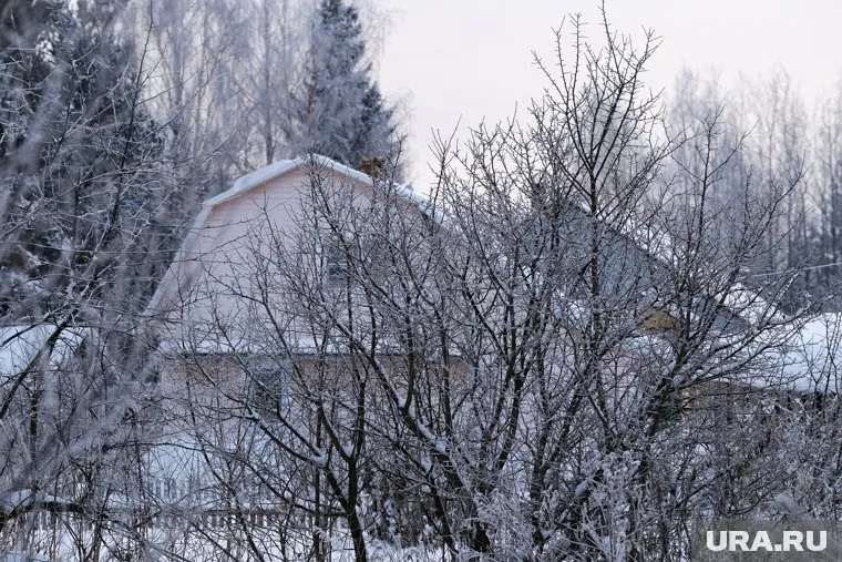 Наиболее интересные дачи в городе начнут продавать в середине февраля