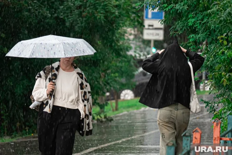 На востоке Пермского края ожидается сильный дождь и грозы