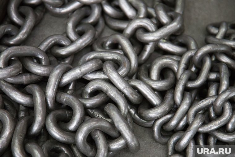 За что курганский суд отправил в колонию на восемь лет фермера-«рабовладельца»