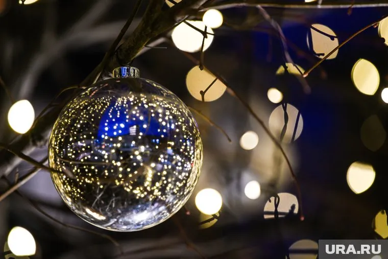 Семья из Кургана украсили свой дом перед Новым годом