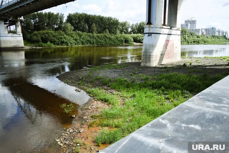 Зеленые острова появляются по берегам и в центре Туры 