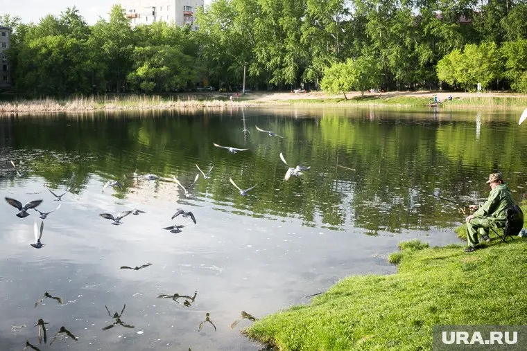 Трагедия произошла на водоеме в Тюменском районе (архивное фото)