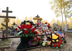 Фотография из галереи