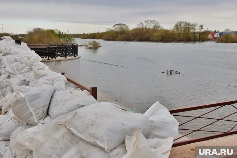 В Кургане Тобол за день упал на 12 сантиметров