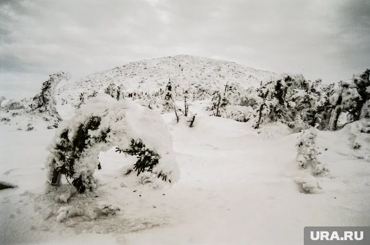 О потерявшемся туристе сообщил сотрудник приюта «Гремучий ключ»