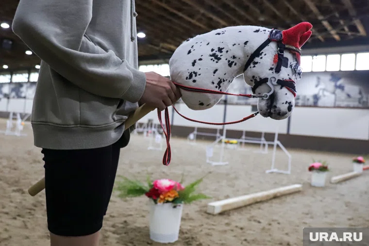 Соревнования по хоббихорсингу устроят для детей на Новый год 