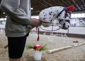 В Тюмени Дед Мороз заставит скакать детей на невидимых лошадях 