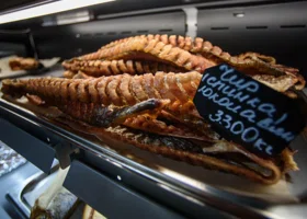 Больница в ЯНАО купит тонны деликатесного лосося на 1,3 млн рублей