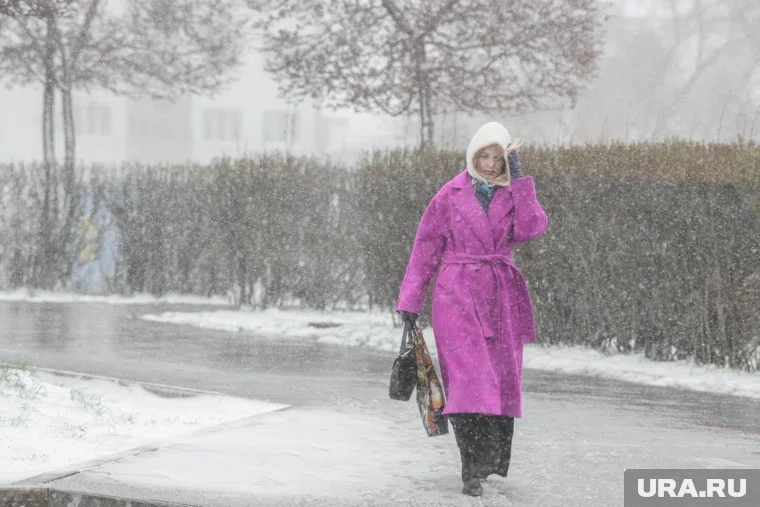 Жители Челябинска увидели первый снег