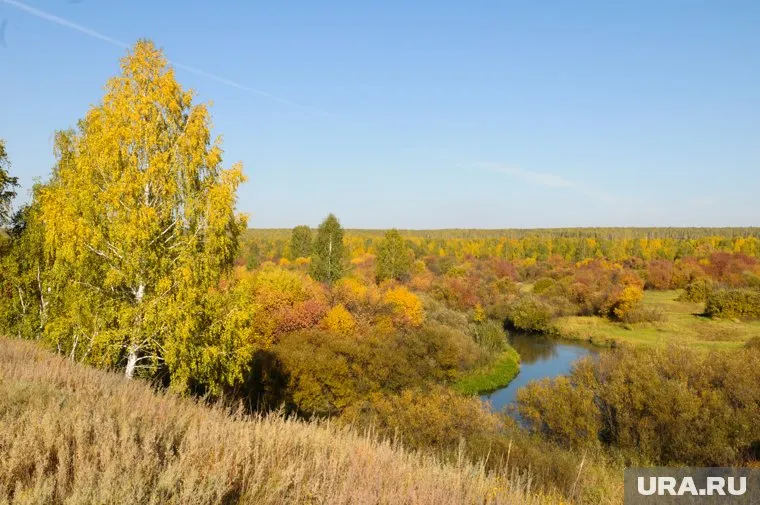 Роман Вильфанд рассказал о коротком бабьем лете на Урале и Поволжье