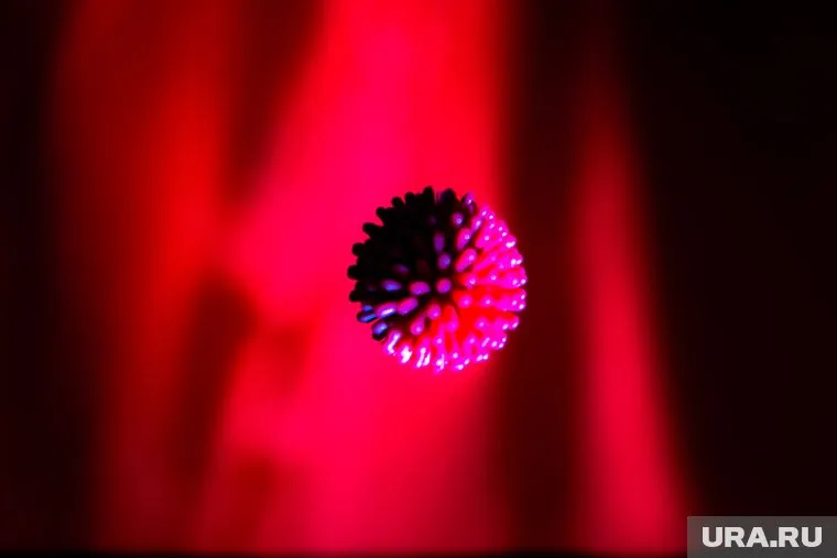 Коронавирус может мутировать в организме норок, сказал вирусолог Александр Чепурнов