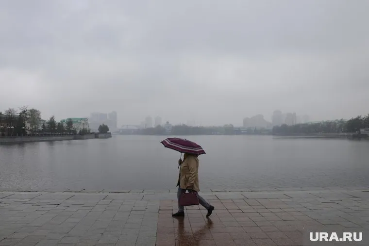 В туман лучше отложить поездки на автомобиле и передвигаться пешком