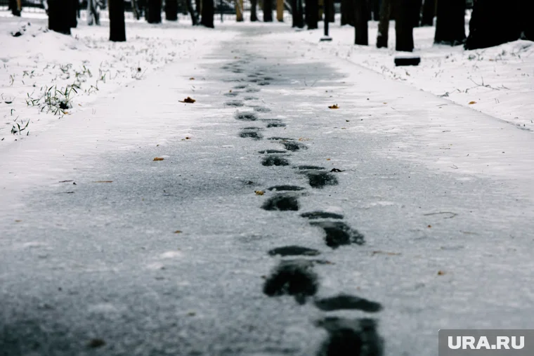 Заморозки придут уже в понедельник 3 ноября