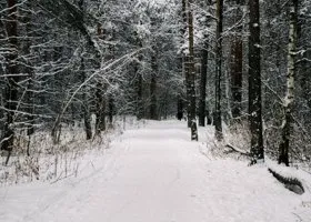 Раскрыты подробности убийства головореза, за которое арестовали авторитета из Екатеринбурга