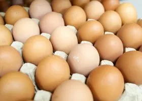 Фотография из галереи