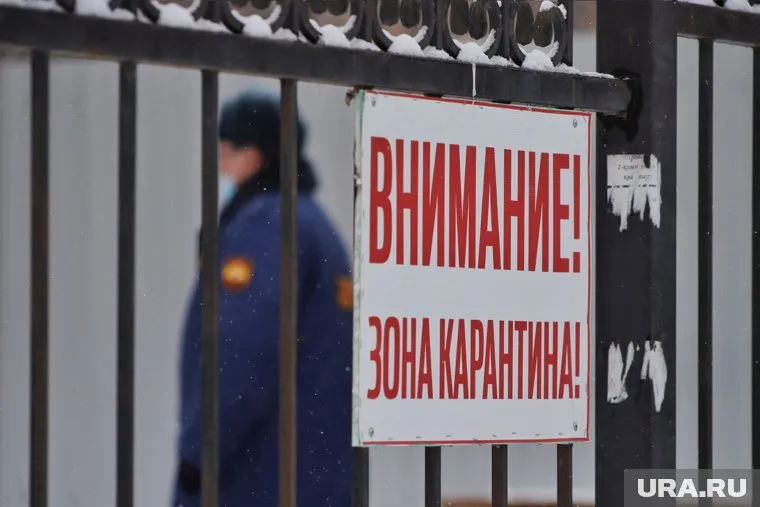 Новый локдаун России не грозит