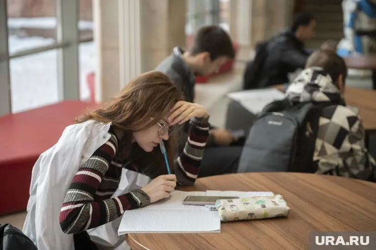 Высокооплачиваемую работу студентам мешает найти нехватка опыта