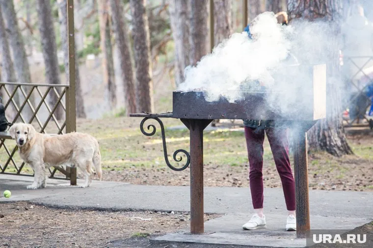 Продление майских праздников поможет россиянам справиться с депрессией, заявил Владислав Даванков