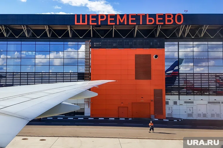 Деньги у бойцов СВО похищали в аэропорту Шереметьево