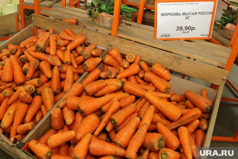 Морковь в свердловских магазинах подорожала за неделю на 2,5%