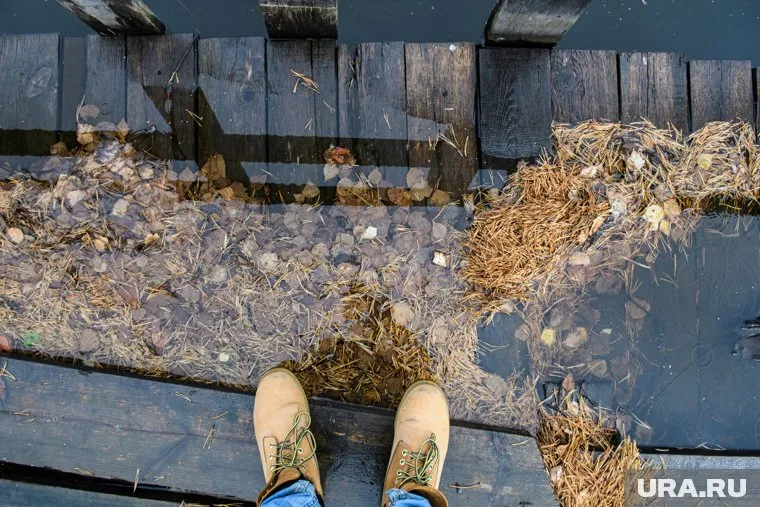 Заболевание в любом случае станет сезонным