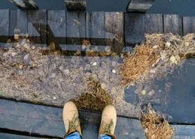 Инфекционист сказал, как люди будут уживаться с COVID