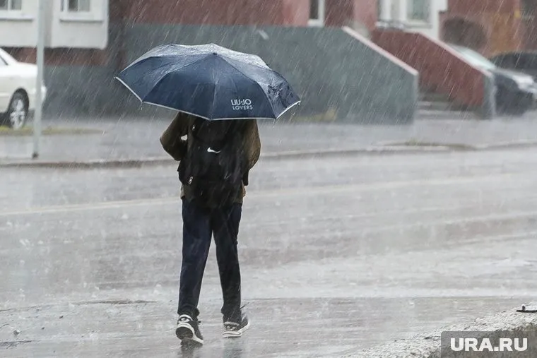 В Тюмени весь день будет дождь и холодный северный ветер (архивное фото)