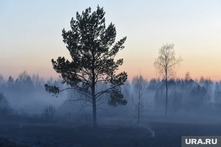 Пожары в Свердловской области в основном вызваны неосторожным обращением с огнем