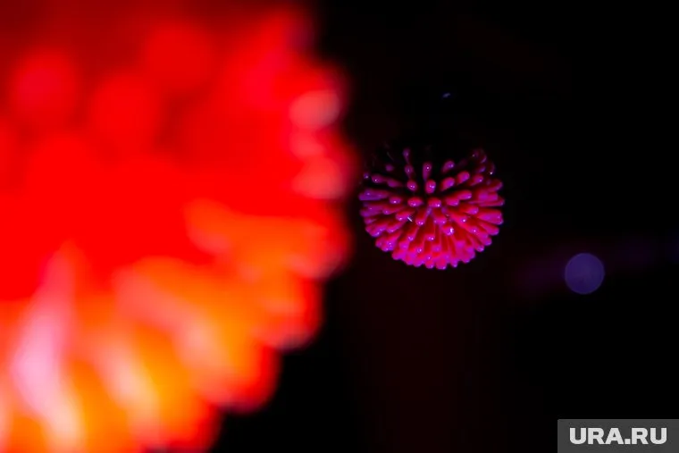 Всего COVID-19 подтвержден у 39 тюменцев