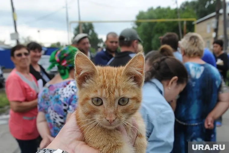 Два дня рядом изнывала мать едва не погибшего зверька (фото из архива)