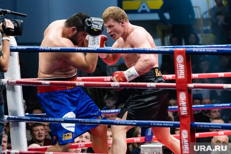 Поветкин одержал победу над Хаммером в поединке за звание чемпиона, по версиям WBO International и WBA Intercontinental