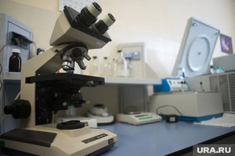 Биолог призвал исследовать странную находку