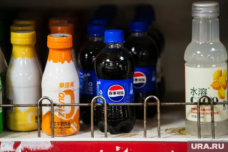 Шоурумы с товарами из Китая планируют открыть в Кургане в 2025 году