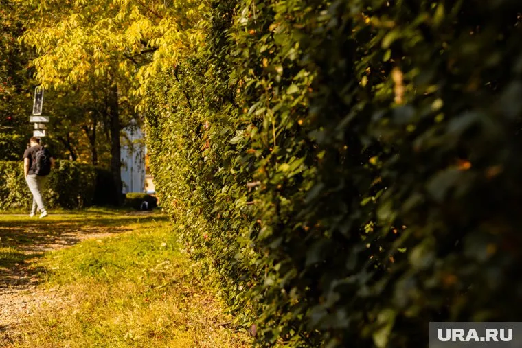 Актер жил рядом с парком на протяжении почти 20 лет