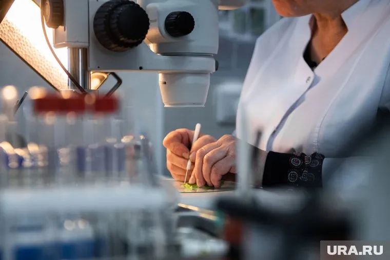 В кормах для животных от европейского производителя нашли мышьяк