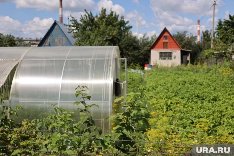 Пермяки не спешат продавать участки и дачи