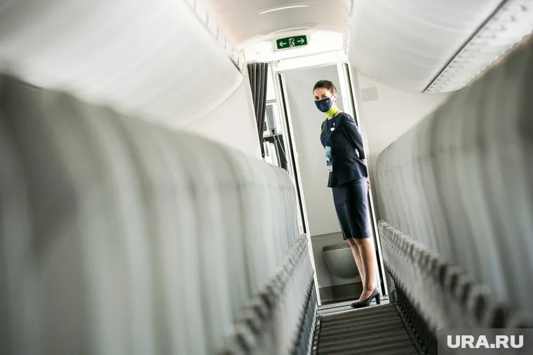 Первый случай оспы обезьян в России будет завозным